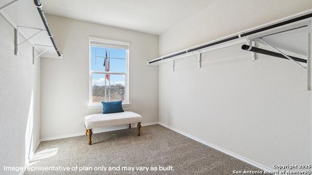 Image 36 of 51 For 3018 Lindenwood Way
