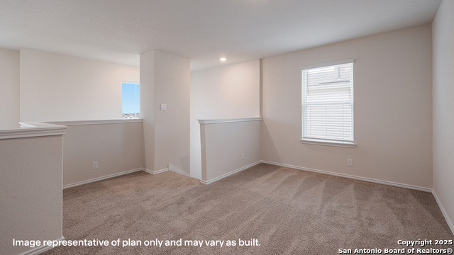 Image 15 of 79 For 1116 Andean Emerald