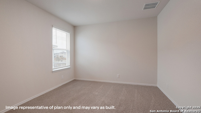 Image 18 of 79 For 1116 Andean Emerald