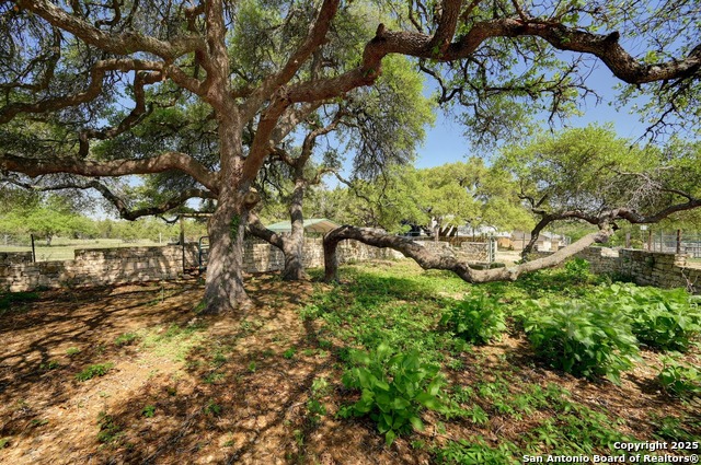 Listing photo id 25 for 13533 Fm 2325