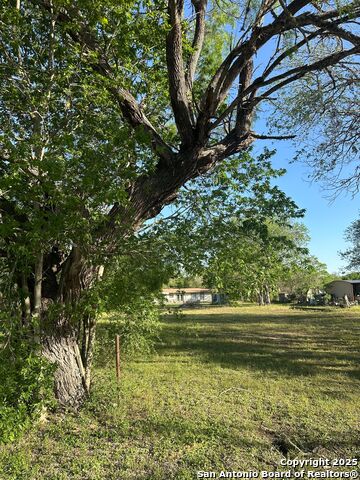 Listing photo id 1 for 207 River Road
