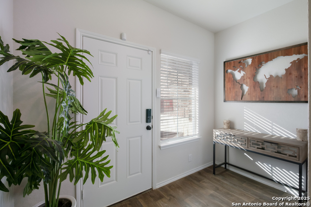 Image 10 of 21 For 1250 Yellow Warbler