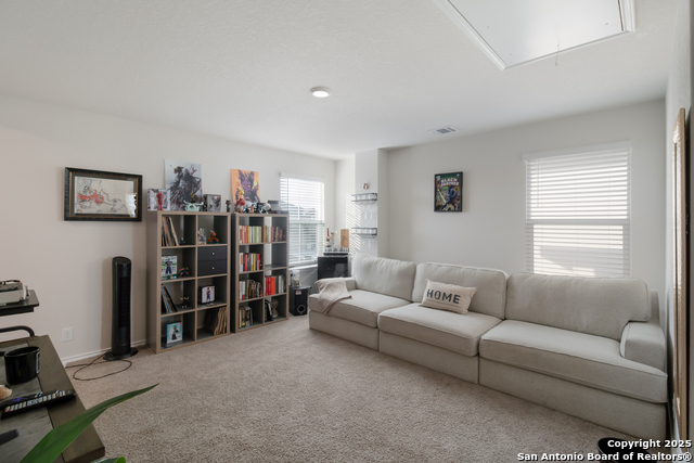 Image 15 of 21 For 1250 Yellow Warbler