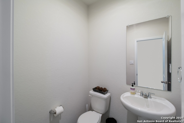 Image 9 of 21 For 1250 Yellow Warbler