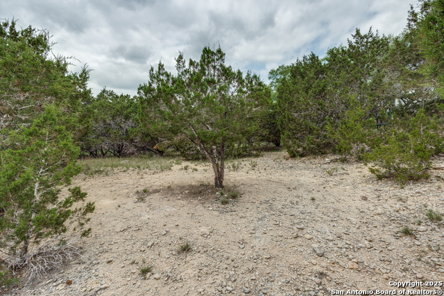 Listing photo id 25 for 1660 Westview Court