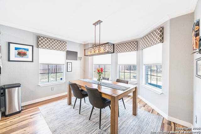 Listing photo id 16 for 433 Bear Gardens