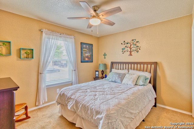 Listing photo id 22 for 9951 Carswell Peak