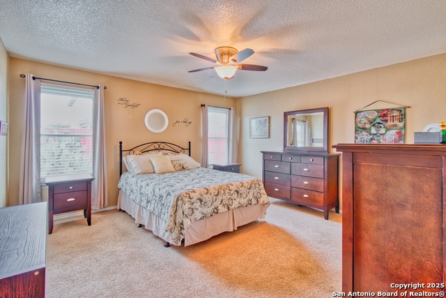 Listing photo id 26 for 9951 Carswell Peak