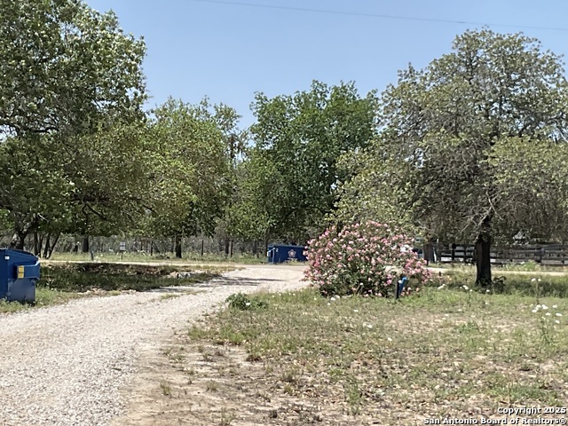Listing photo id 3 for 263 County Road 7812