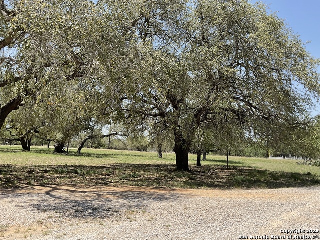 Listing photo id 5 for 263 County Road 7812