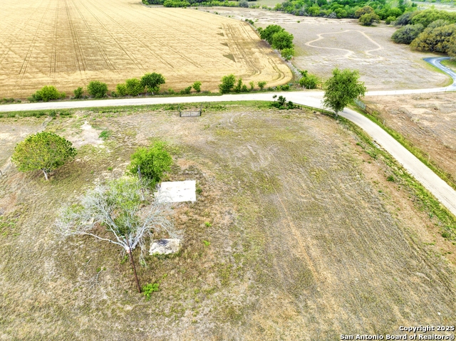 Image 5 of 6 For Lot 1 Cr 343