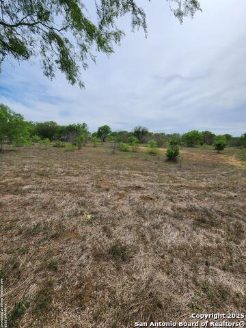 Listing photo id 2 for 10951 (tract B) Kosub Ln