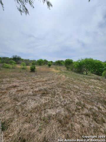 Listing photo id 3 for 10951 (tract B) Kosub Ln