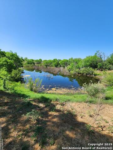 Listing photo id 4 for 10951 (tract B) Kosub Ln
