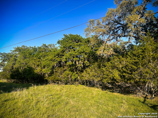Image 10 of 18 For Lot 12 Brown Saddle