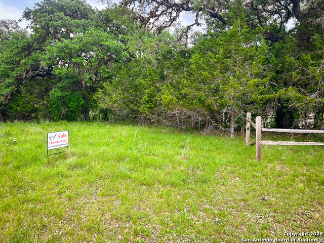 Image 11 of 18 For Lot 12 Brown Saddle