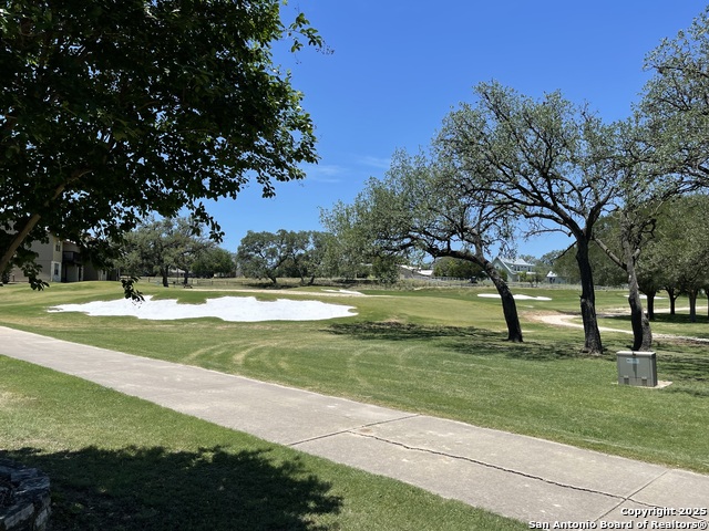 Image 15 of 18 For Lot 12 Brown Saddle