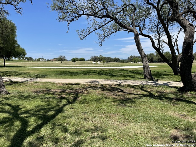 Image 16 of 18 For Lot 12 Brown Saddle