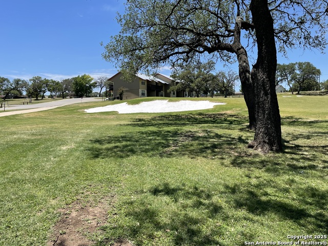 Image 17 of 18 For Lot 12 Brown Saddle