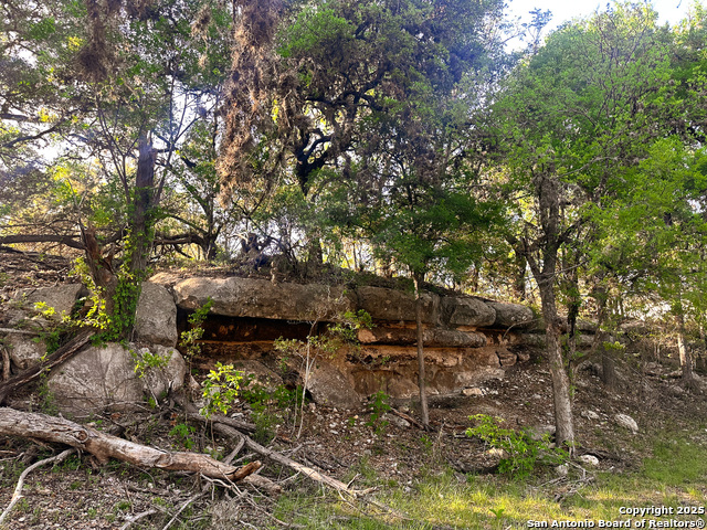 Image 2 of 18 For Lot 12 Brown Saddle