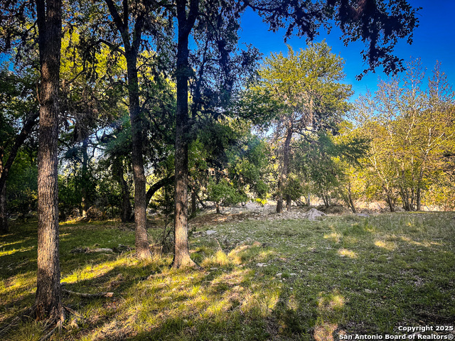 Image 4 of 18 For Lot 12 Brown Saddle