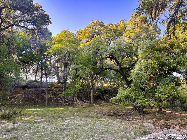 Image 6 of 18 For Lot 12 Brown Saddle