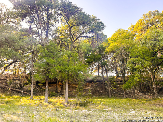 Image 7 of 18 For Lot 12 Brown Saddle