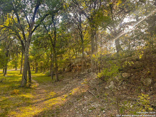 Image 8 of 18 For Lot 12 Brown Saddle