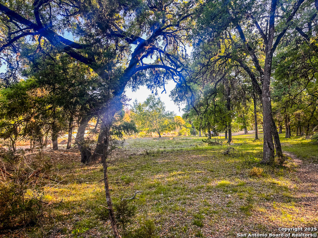 Image 9 of 18 For Lot 12 Brown Saddle
