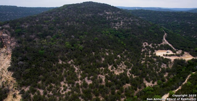 Image 16 of 21 For Lot 155 White Bluff Rd