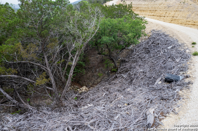 Image 18 of 21 For Lot 155 White Bluff Rd