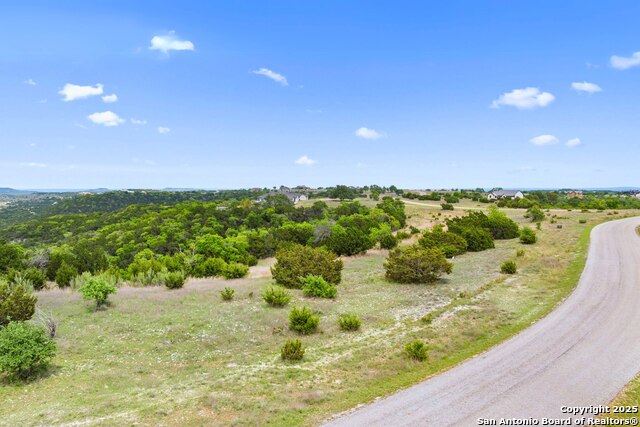 Image 8 of 25 For Tbd Black Buck Cv