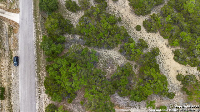 Image 9 of 10 For 1414 William Travis