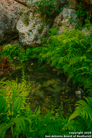 Image 3 of 10 For 000 Mystic Springs Ranch