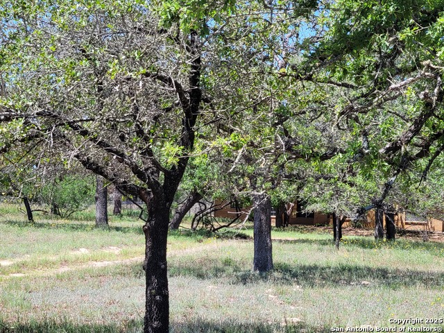 Image 3 of 47 For 825 County Road 320