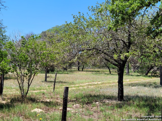 Image 4 of 47 For 825 County Road 320