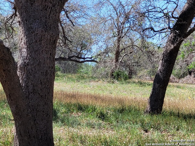 Image 41 of 47 For 825 County Road 320