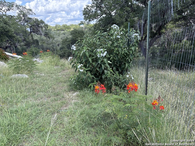 Image 51 of 51 For 3263 Palomino Springs
