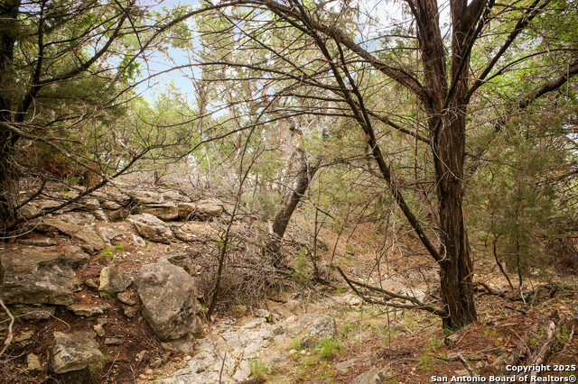 Image 26 of 57 For 808 Lasso Loop