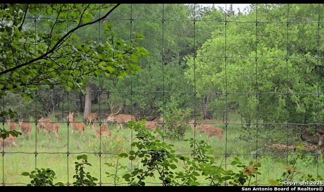 Image 8 of 47 For 8694 Rolling Acres