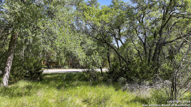 Image 18 of 29 For 31401 Smithson Valley