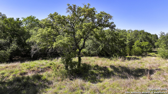 Image 22 of 29 For 31401 Smithson Valley