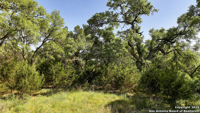 Image 25 of 29 For 31401 Smithson Valley