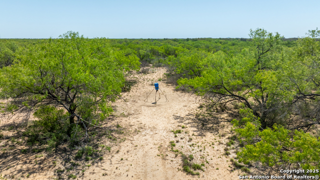 Image 17 of 60 For 000 Fm 1581  