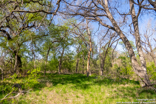 Image 24 of 60 For 000 Fm 1581  