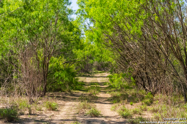 Image 27 of 60 For 000 Fm 1581  