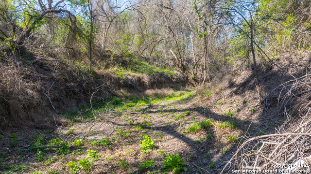 Image 5 of 60 For 000 Fm 1581  