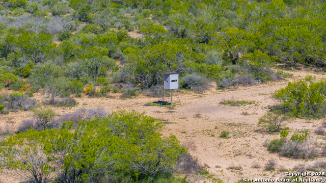 Image 6 of 60 For 000 Fm 1581  