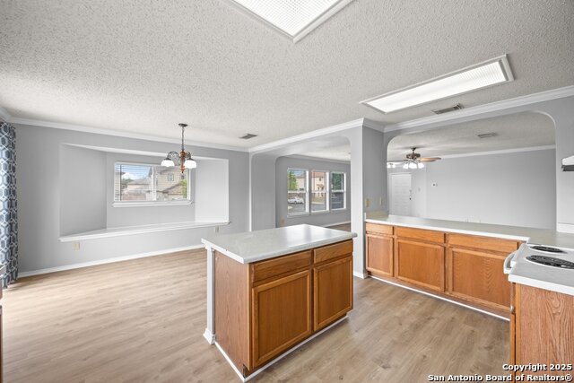 Image 10 of 27 For 7902 Chestnut Bear