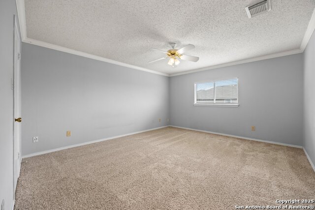Image 13 of 27 For 7902 Chestnut Bear